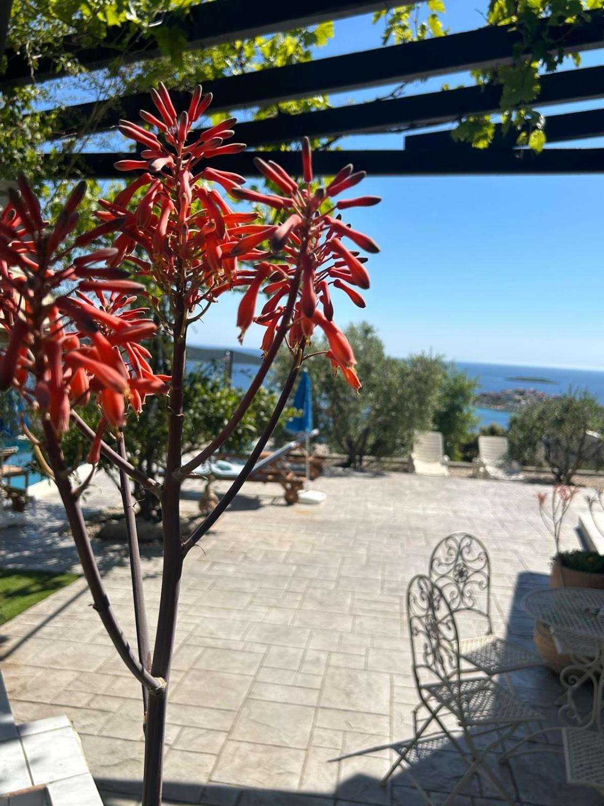 Holiday Home Bepo Sevid Exterior foto